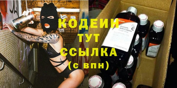 шишки Абаза