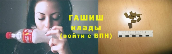 шишки Абаза