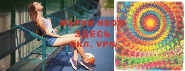 шишки Абаза