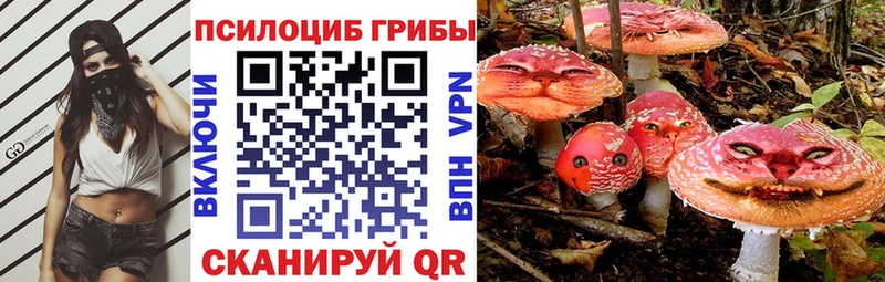 купить наркоту  Белоярский  Псилоцибиновые грибы MAGIC MUSHROOMS 